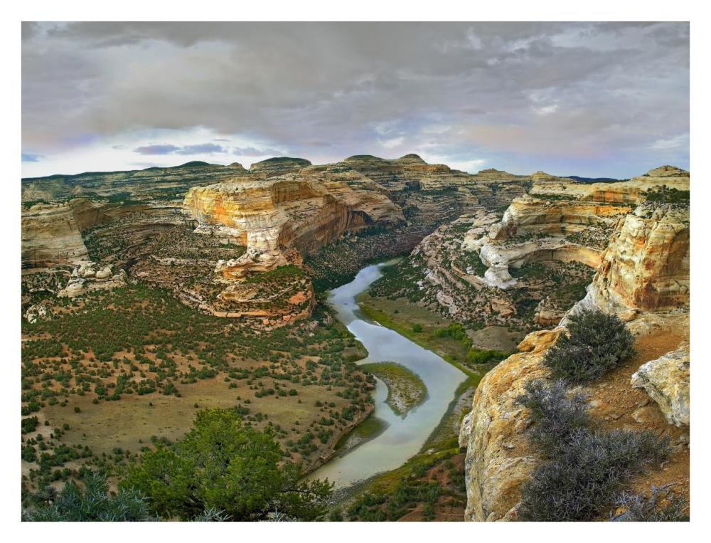Yampa River Flowing Through Canyons, Dinosaur National Monument, Colorado-Paper Art-34X26