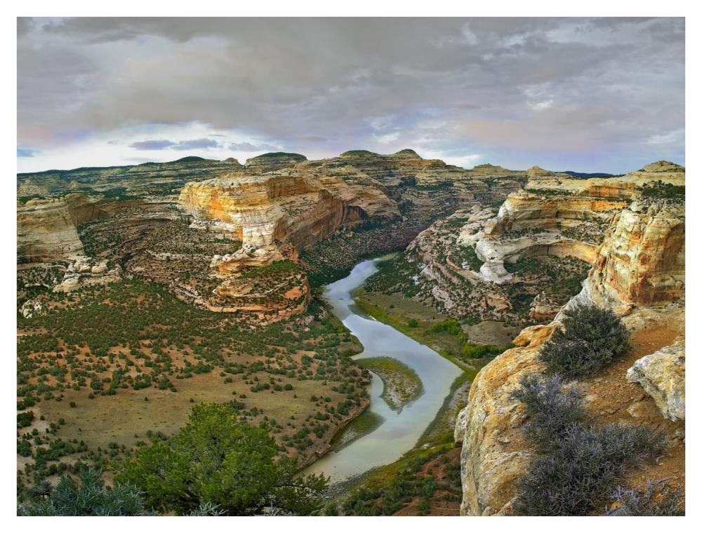 Yampa River Flowing Through Canyons, Dinosaur National Monument, Colorado-Paper Art-42X32