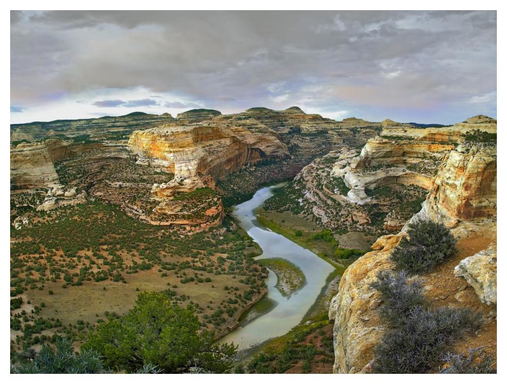 Yampa River Flowing Through Canyons, Dinosaur National Monument, Colorado-Paper Art-50X38