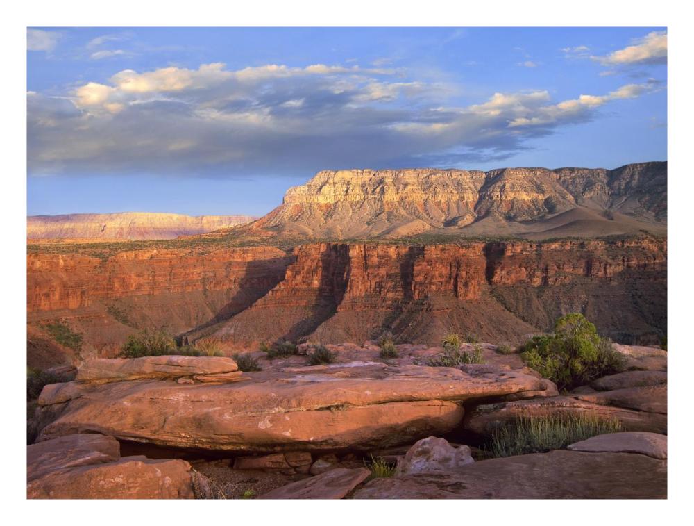 Aubrey Cliffs From Toroweap Overlook, Grand Canyon National Park, Arizona-Paper Art-26X20