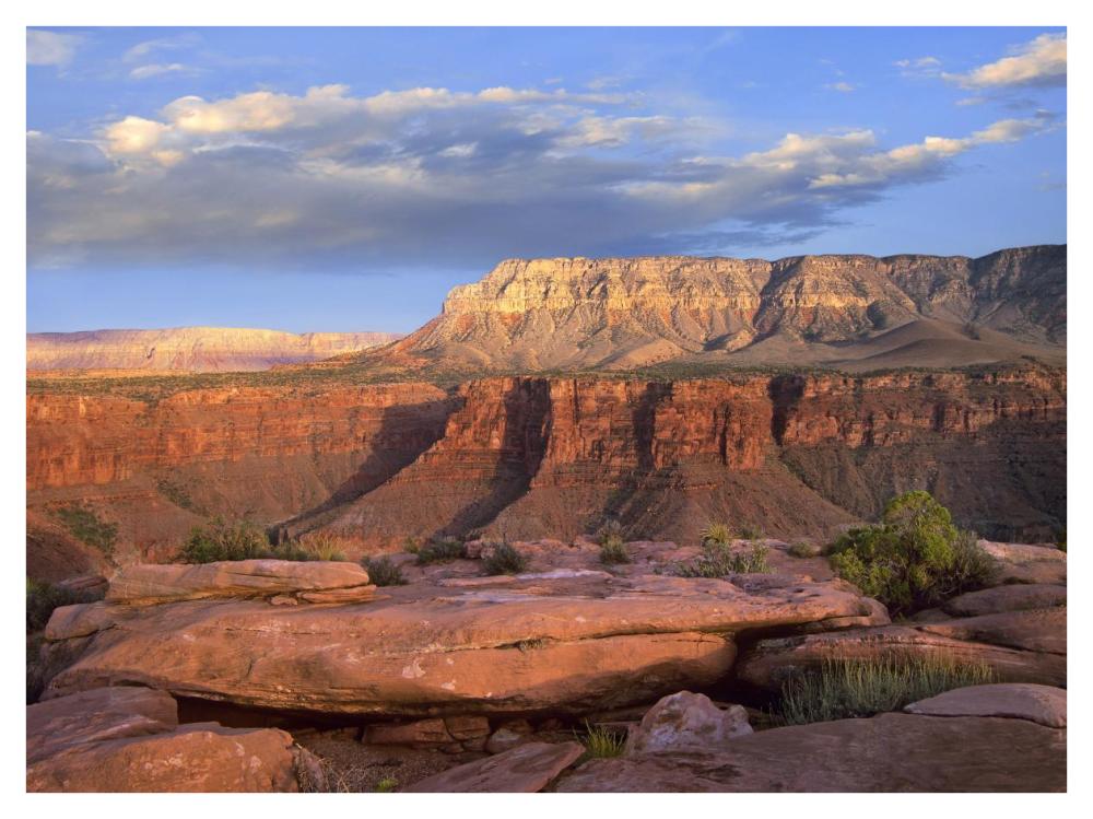 Aubrey Cliffs From Toroweap Overlook, Grand Canyon National Park, Arizona-Paper Art-42X32