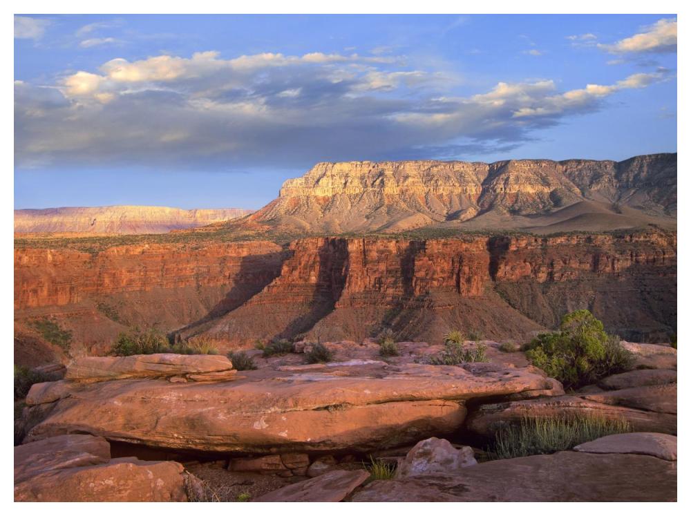 Aubrey Cliffs From Toroweap Overlook, Grand Canyon National Park, Arizona-Paper Art-50X38