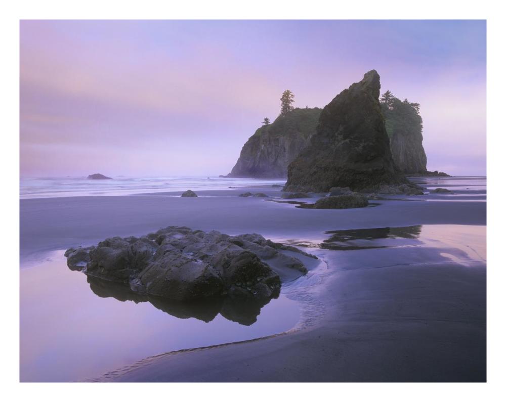 Ruby Beach With Seastacks And Boulders, Olympic National Park, Washington-Paper Art-26X20