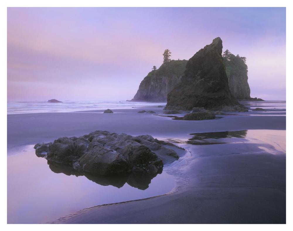 Ruby Beach With Seastacks And Boulders, Olympic National Park, Washington-Paper Art-42X32