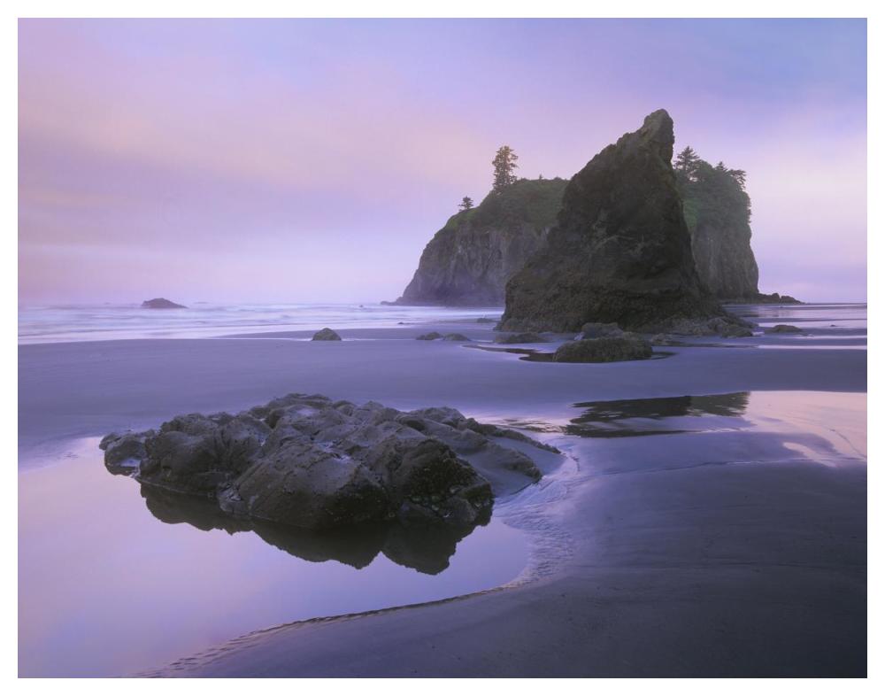 Ruby Beach With Seastacks And Boulders, Olympic National Park, Washington-Paper Art-50X38