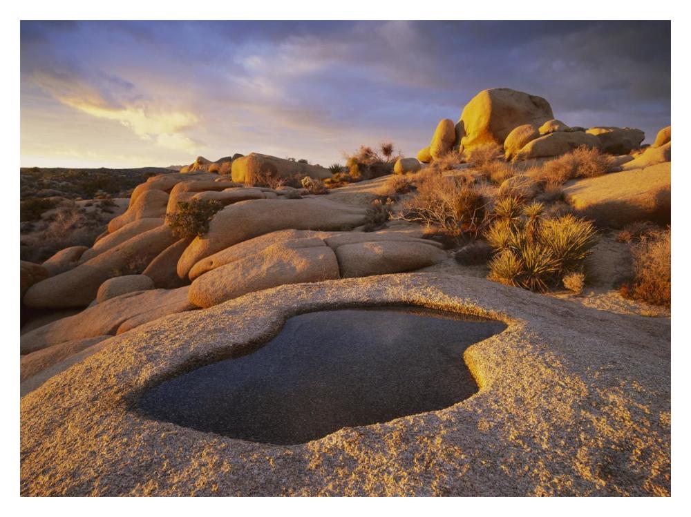 Water That Has Collected In Boulder, Joshua Tree National Park, California-Paper Art-18X14