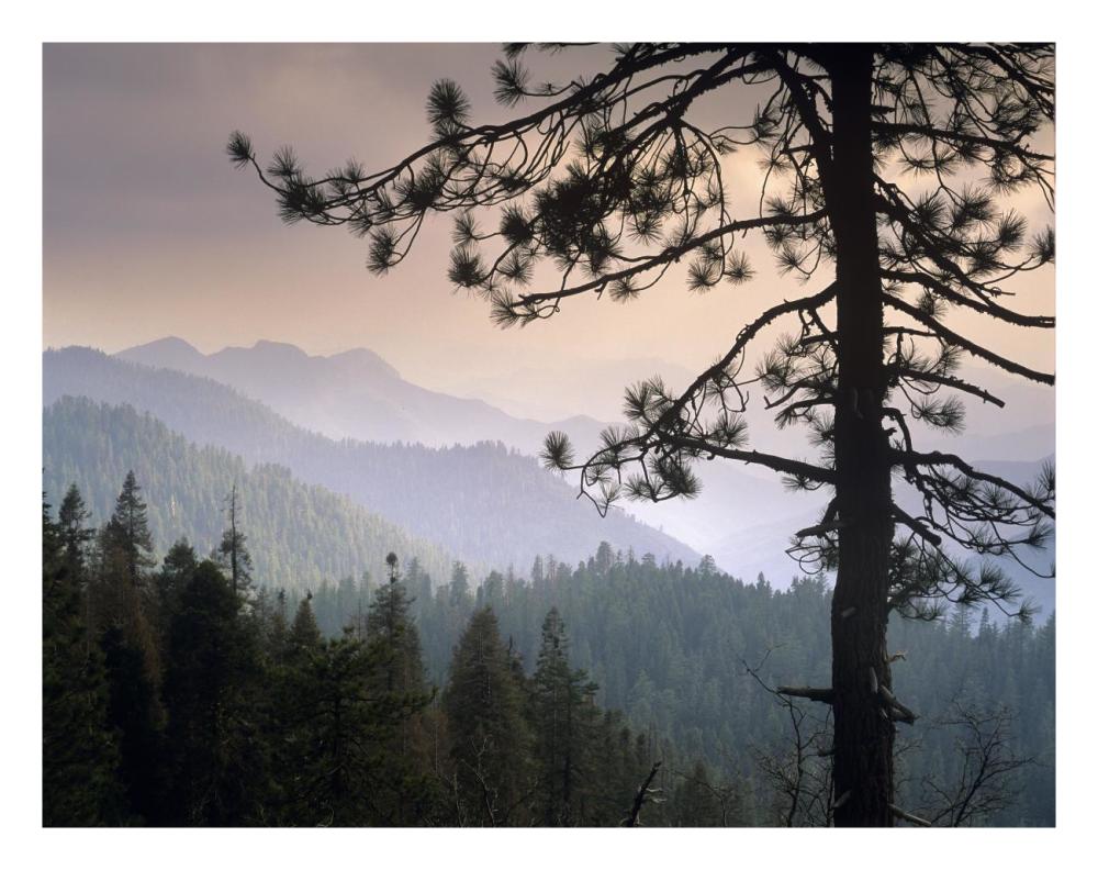 View Over Foothills To The West From Kings Canyon National Park, California-Paper Art-26X20