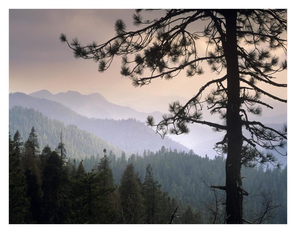 View Over Foothills To The West From Kings Canyon National Park, California-Paper Art-34X26