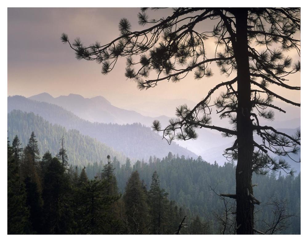 View Over Foothills To The West From Kings Canyon National Park, California-Paper Art-42X32