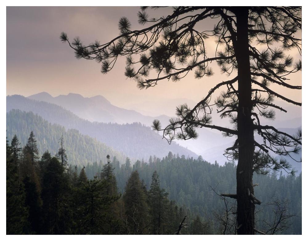 View Over Foothills To The West From Kings Canyon National Park, California-Paper Art-50X38