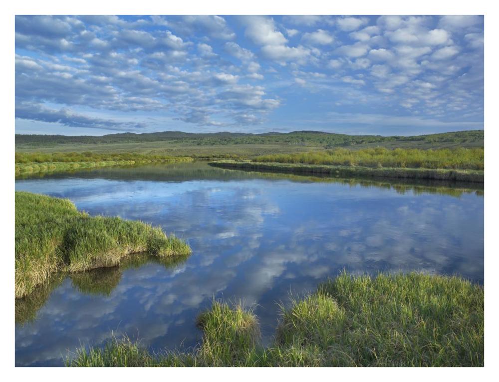 Clouds Reflected In The Green River, Bridger-Teton National Forest, Wyoming-Paper Art-34X26