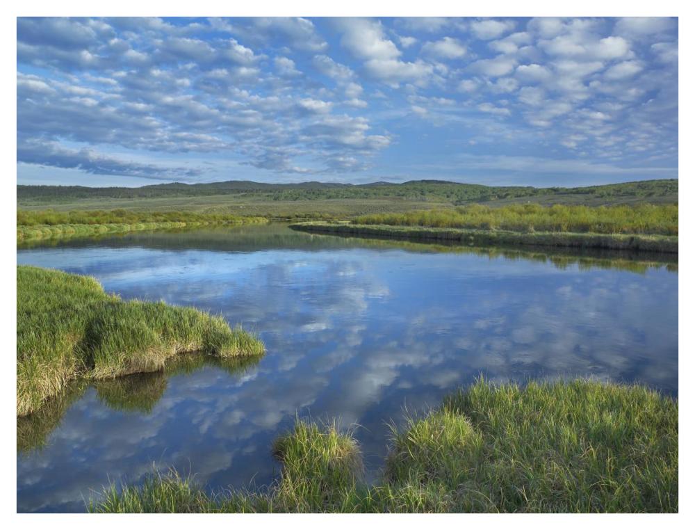 Clouds Reflected In The Green River, Bridger-Teton National Forest, Wyoming-Paper Art-42X32