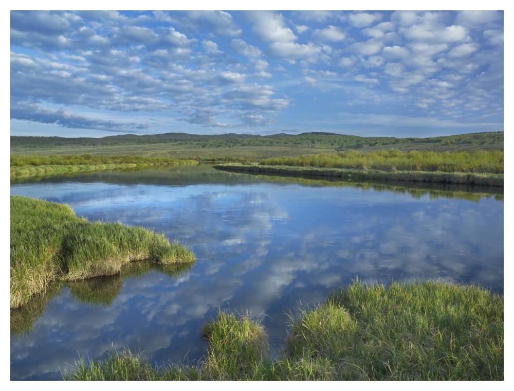Clouds Reflected In The Green River, Bridger-Teton National Forest, Wyoming-Paper Art-50X38