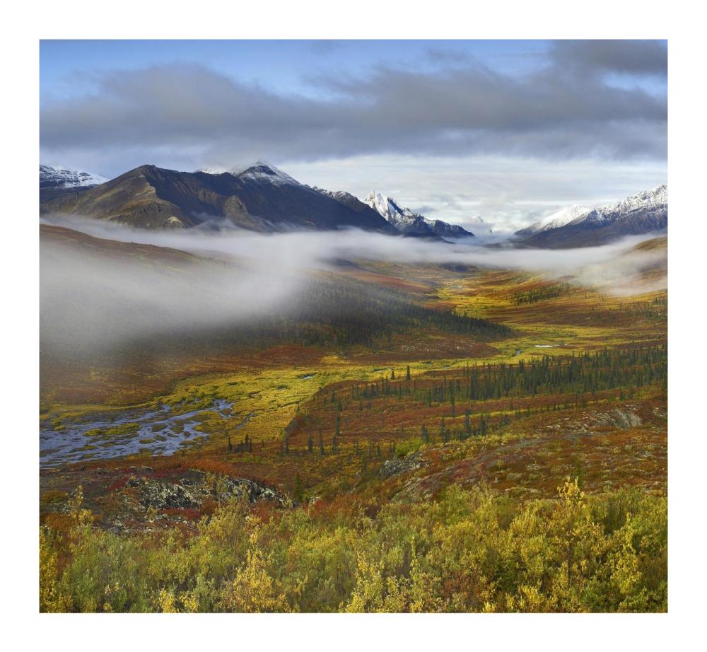 Fog Over Tundra, Tombstone Range, Tombstone Territorial Park, Yukon, Canada-Paper Art-18X16.56