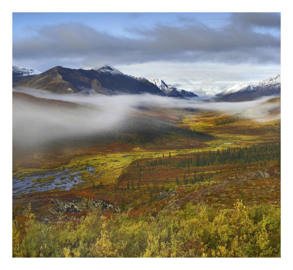 Fog Over Tundra, Tombstone Range, Tombstone Territorial Park, Yukon, Canada-Paper Art-24X22.02