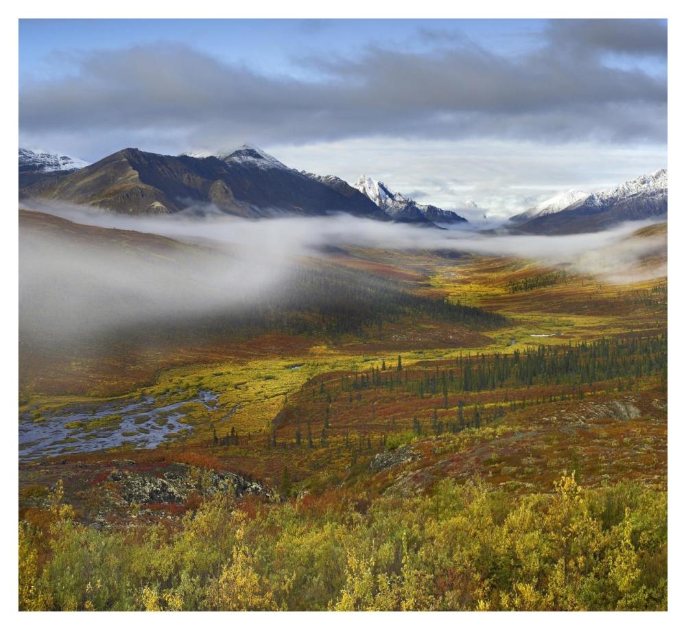 Fog Over Tundra, Tombstone Range, Tombstone Territorial Park, Yukon, Canada-Paper Art-38X34.76
