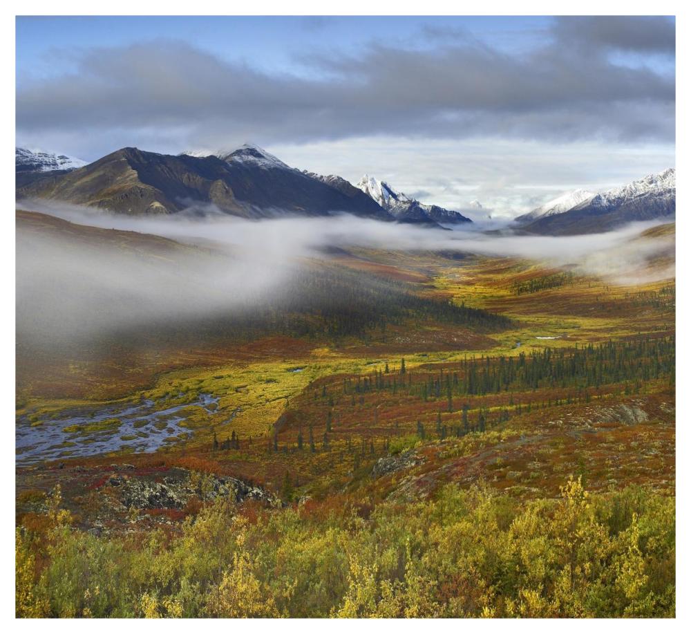 Fog Over Tundra, Tombstone Range, Tombstone Territorial Park, Yukon, Canada-Paper Art-46X42.04