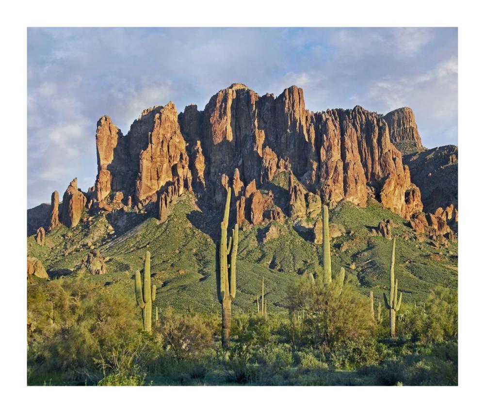 Saguaro Cacti And Superstition Mountains, Lost Dutchman State Park, Arizona-Paper Art-18X15.28