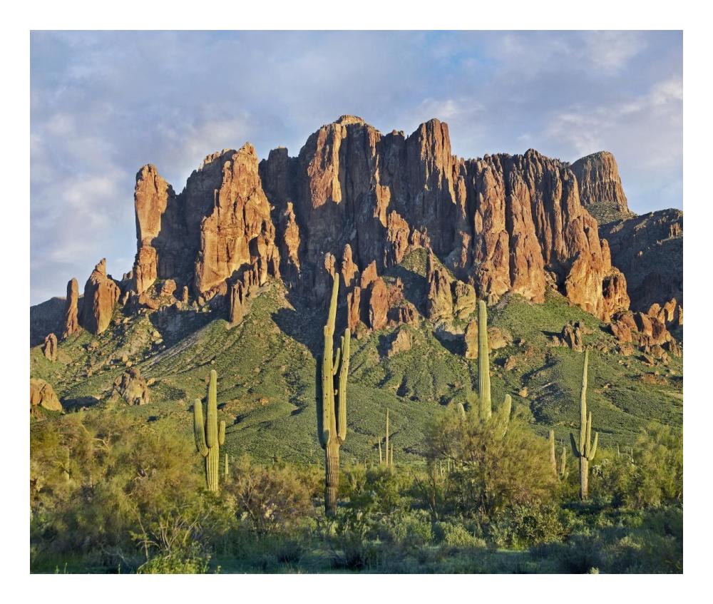 Saguaro Cacti And Superstition Mountains, Lost Dutchman State Park, Arizona-Paper Art-24X20.26