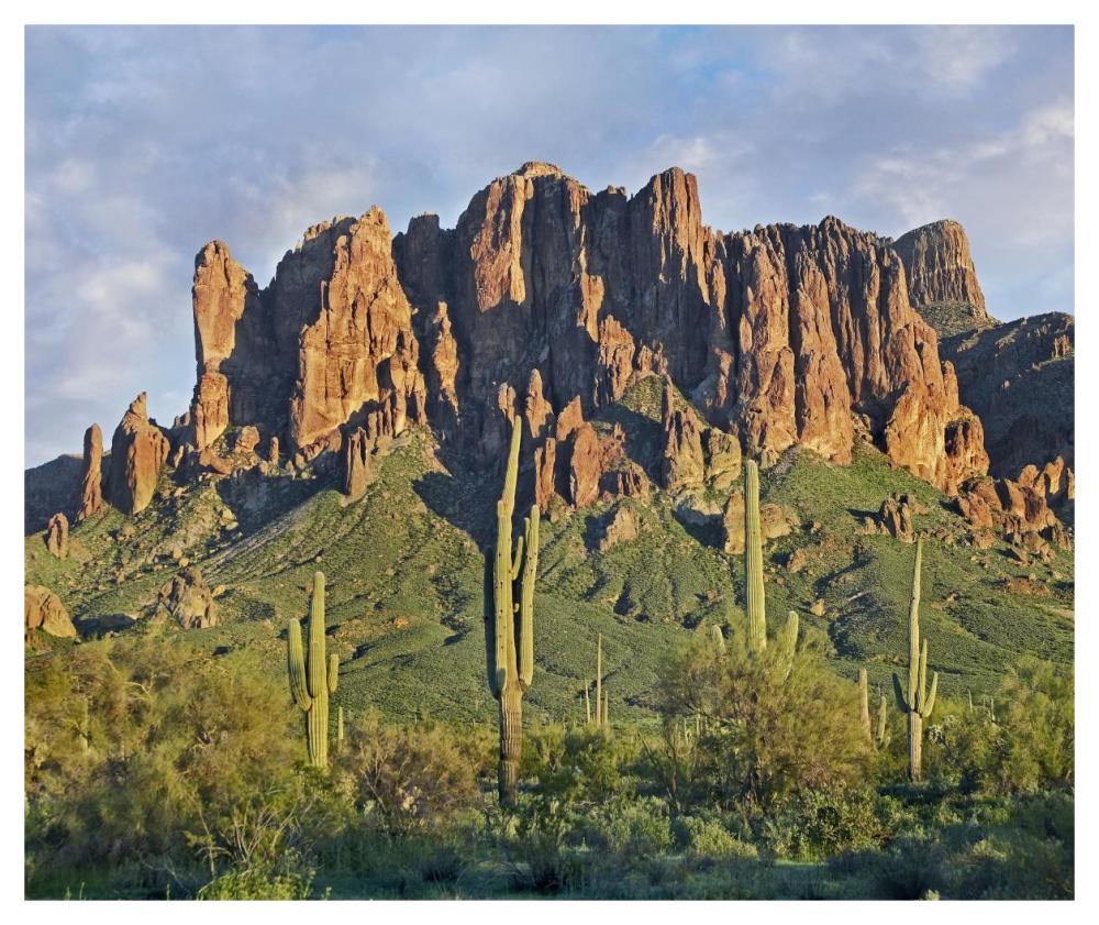 Saguaro Cacti And Superstition Mountains, Lost Dutchman State Park, Arizona-Paper Art-46X38.52