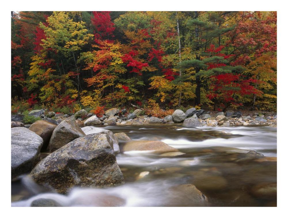Wild River In Eastern Hardwood Forest, White Mountains National Forest, Maine-Paper Art-26X20