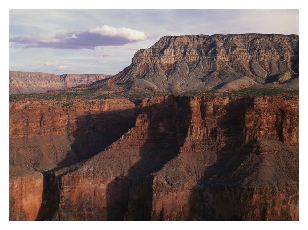 Grand Canyon Seen From Toroweep Overlook, Grand Canyon National Park, Arizona-Paper Art-34X26
