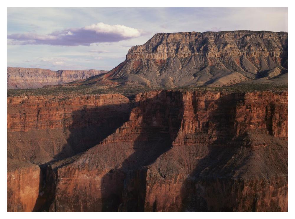 Grand Canyon Seen From Toroweep Overlook, Grand Canyon National Park, Arizona-Paper Art-42X32