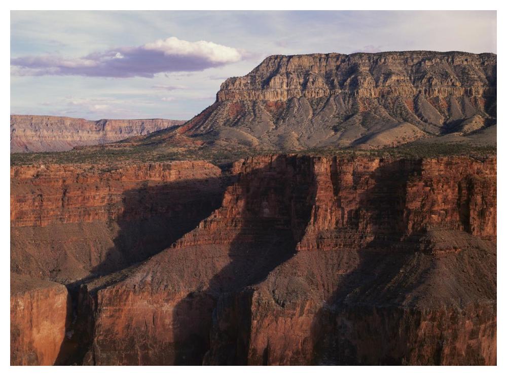 Grand Canyon Seen From Toroweep Overlook, Grand Canyon National Park, Arizona-Paper Art-50X38