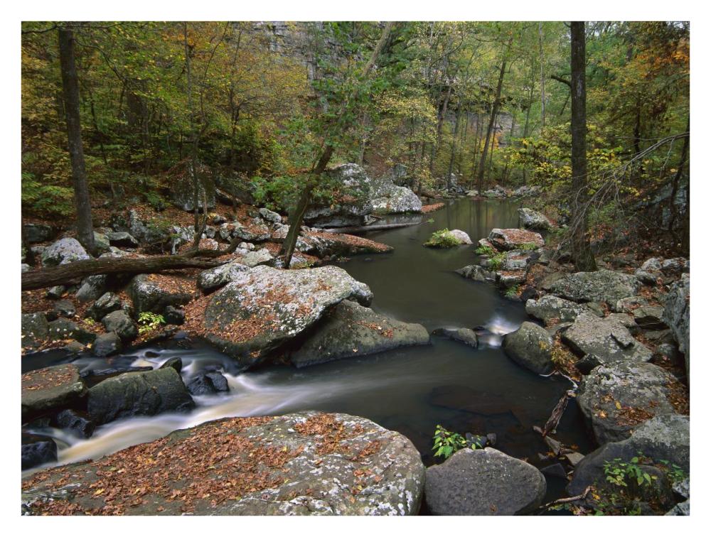 Cedar Creek Flowing Through Deciduous Forest, Petit Jean State Park, Arkansas-Paper Art-34X26