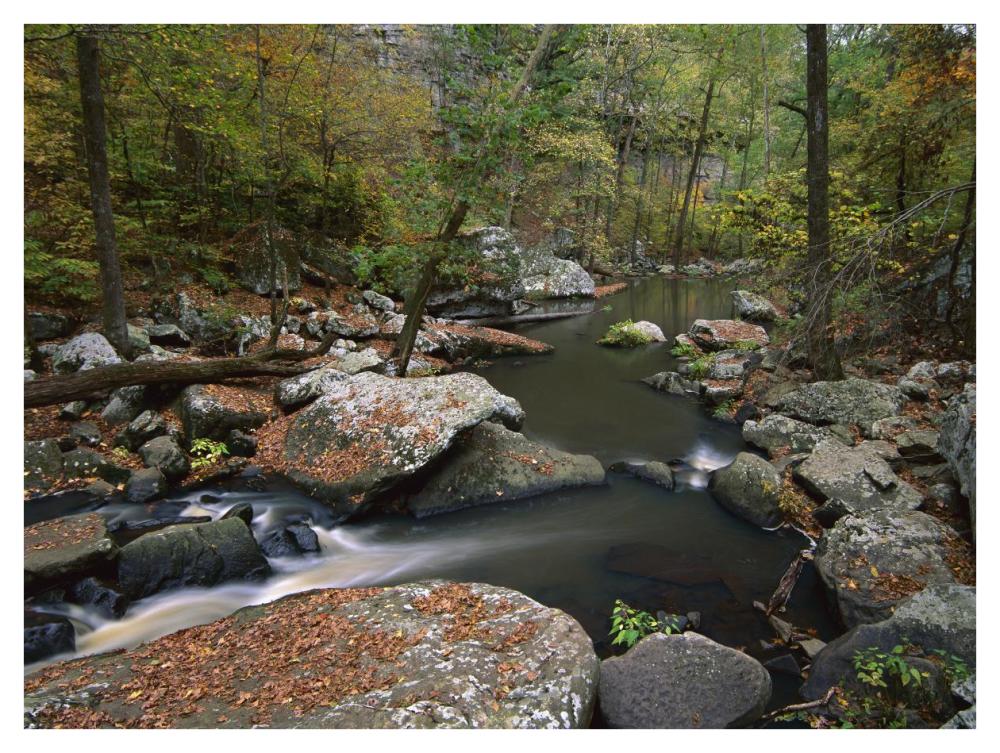 Cedar Creek Flowing Through Deciduous Forest, Petit Jean State Park, Arkansas-Paper Art-42X32