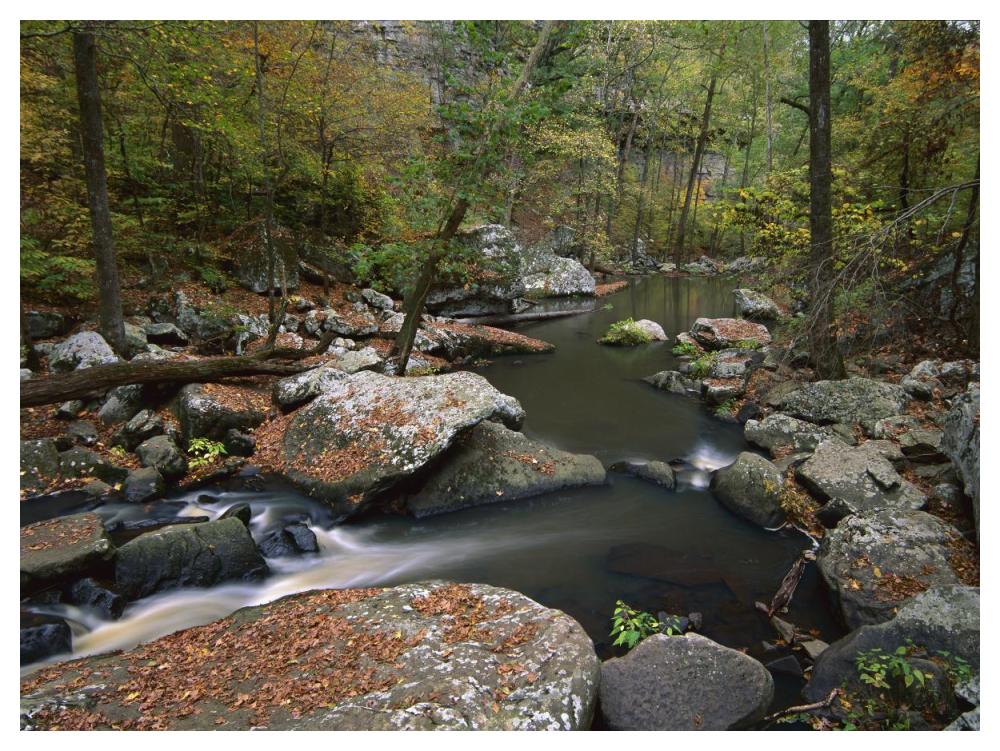 Cedar Creek Flowing Through Deciduous Forest, Petit Jean State Park, Arkansas-Paper Art-50X38