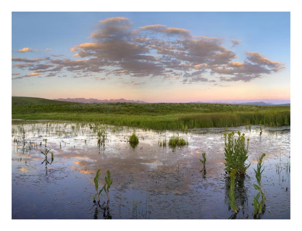 Reflection Of Clouds In The Water, Arapaho National Wildlife Refuge, Colorado-Paper Art-26X20