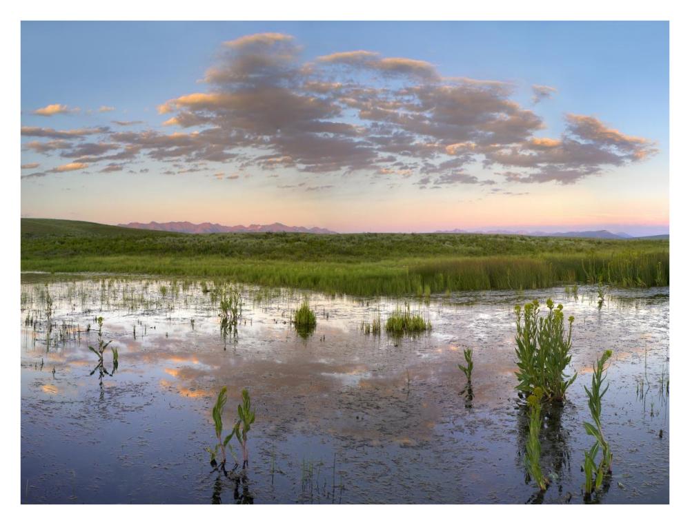 Reflection Of Clouds In The Water, Arapaho National Wildlife Refuge, Colorado-Paper Art-34X26