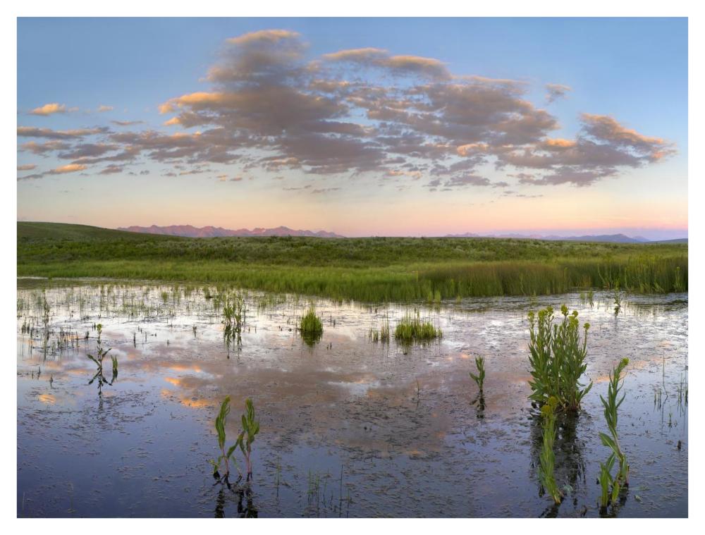 Reflection Of Clouds In The Water, Arapaho National Wildlife Refuge, Colorado-Paper Art-42X32