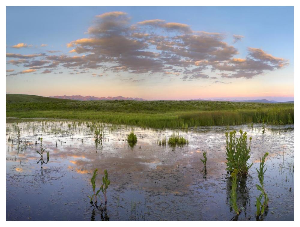 Reflection Of Clouds In The Water, Arapaho National Wildlife Refuge, Colorado-Paper Art-50X38