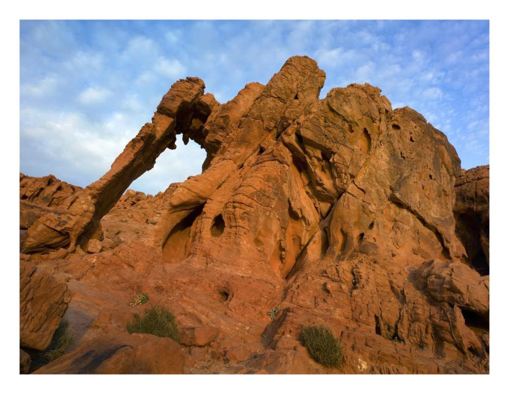 Elephant Rock, A Unique Sandstone Formation, Valley Of Fire State Park, Nevada-Paper Art-26X20