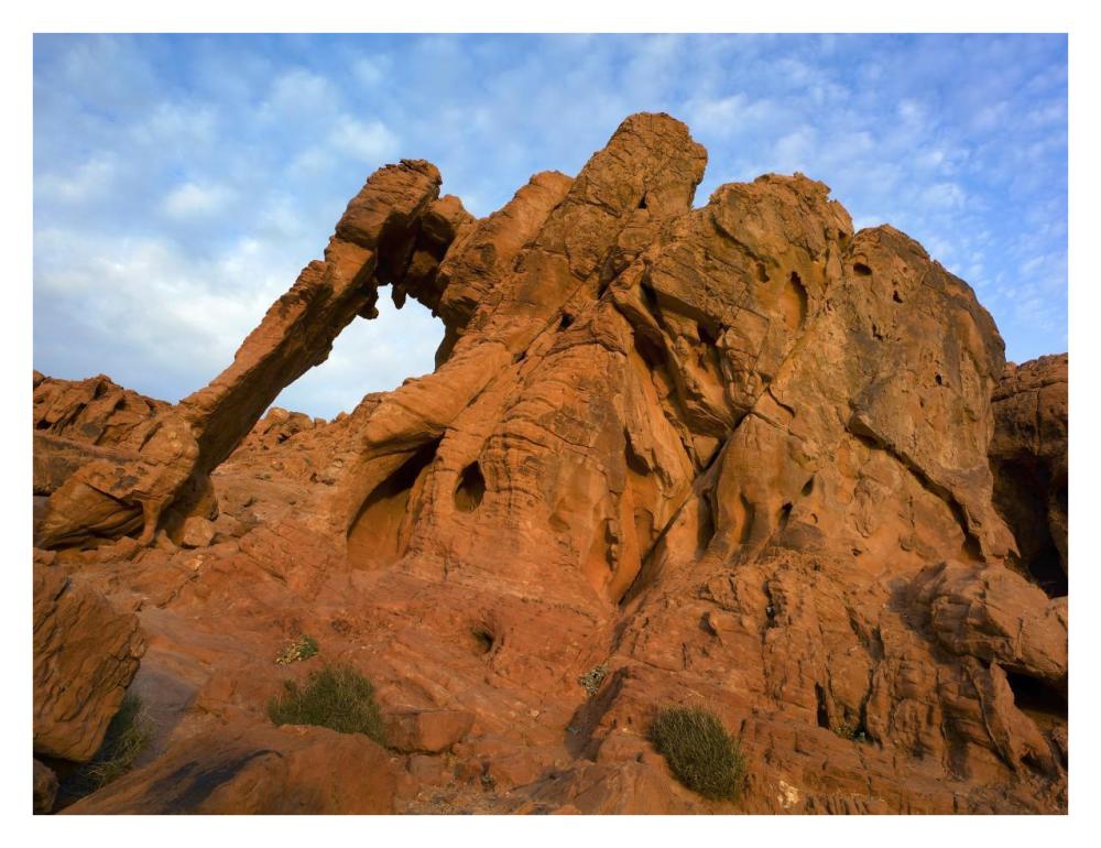 Elephant Rock, A Unique Sandstone Formation, Valley Of Fire State Park, Nevada-Paper Art-34X26