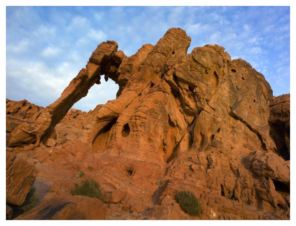 Elephant Rock, A Unique Sandstone Formation, Valley Of Fire State Park, Nevada-Paper Art-50X38
