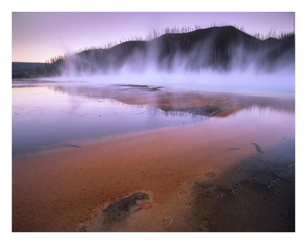Steaming Hot Springs At Lower Geyser Basin, Yellowstone National Park, Wyoming-Paper Art-26X20