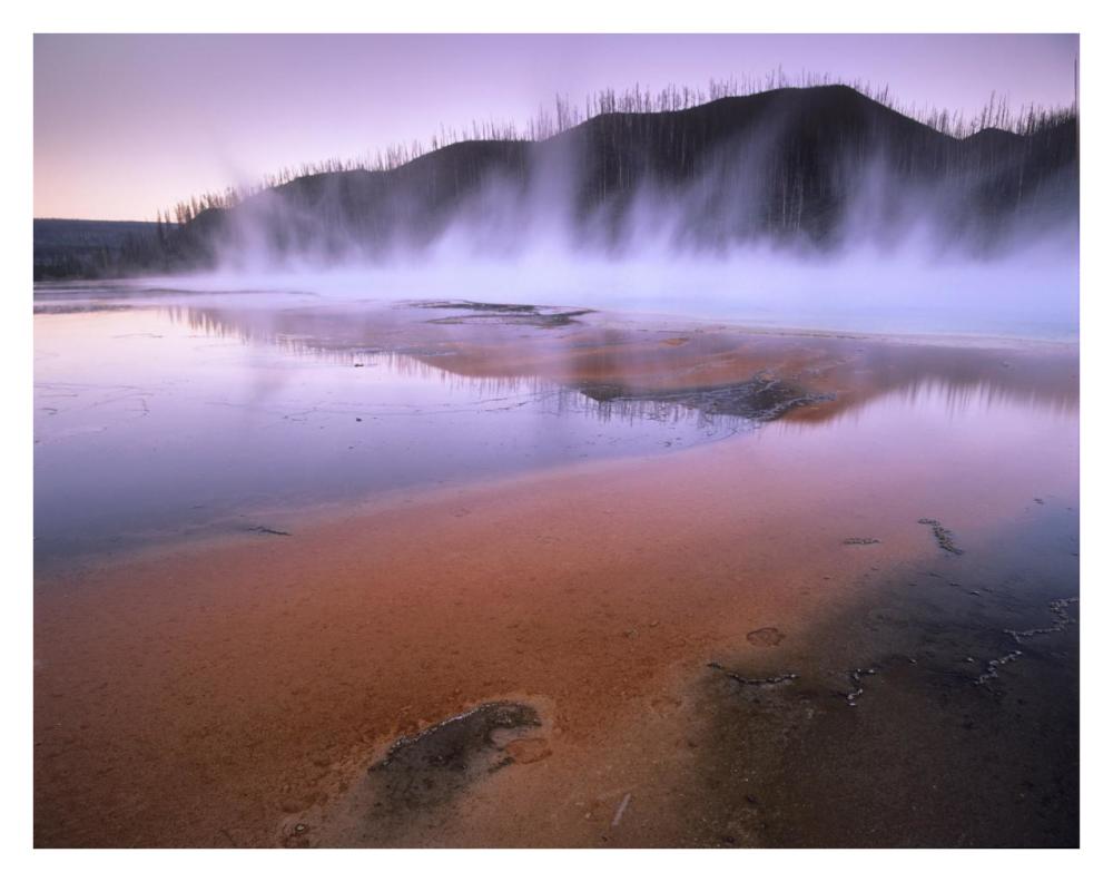 Steaming Hot Springs At Lower Geyser Basin, Yellowstone National Park, Wyoming-Paper Art-34X26