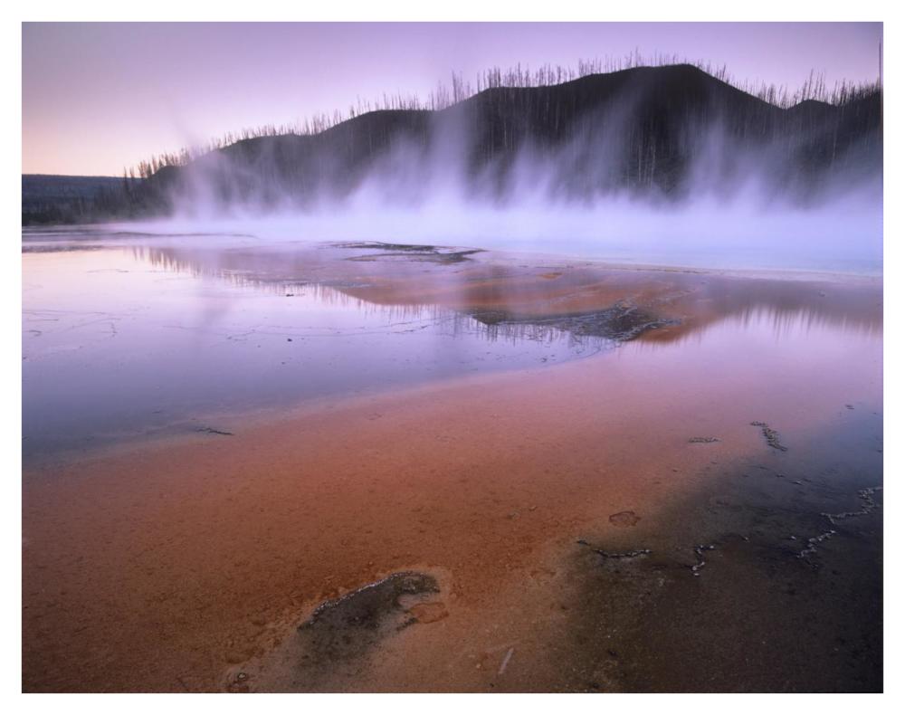 Steaming Hot Springs At Lower Geyser Basin, Yellowstone National Park, Wyoming-Paper Art-42X32