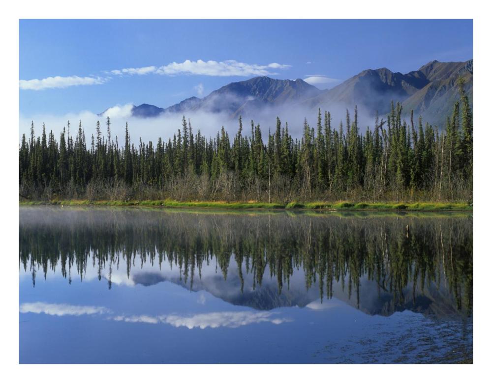 Lake Reflecting Mountain Range And Forest, Kluane National Park, Yukon, Canada-Paper Art-26X20