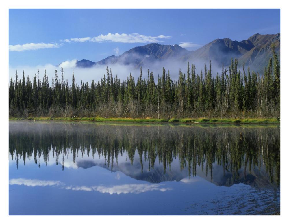 Lake Reflecting Mountain Range And Forest, Kluane National Park, Yukon, Canada-Paper Art-34X26