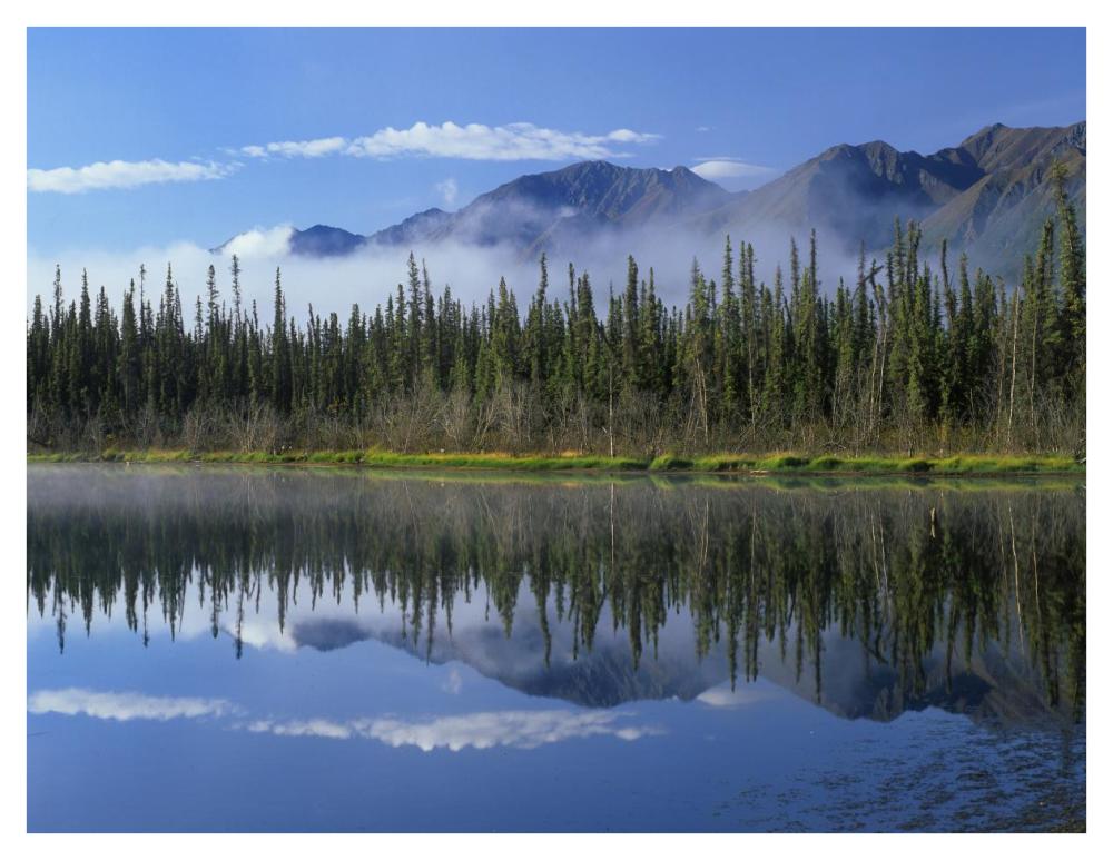 Lake Reflecting Mountain Range And Forest, Kluane National Park, Yukon, Canada-Paper Art-42X32