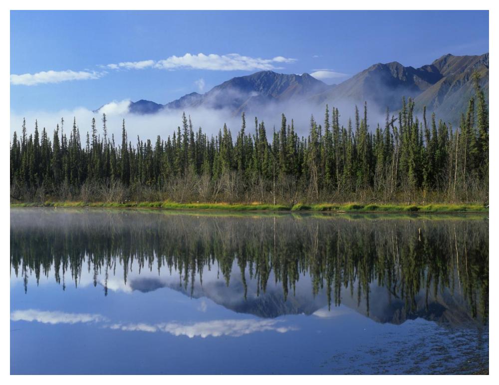 Lake Reflecting Mountain Range And Forest, Kluane National Park, Yukon, Canada-Paper Art-50X38