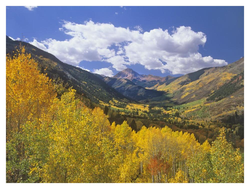 Haystack Mountain With Aspen Forest, Maroon Bells-Snowmass Wilderness, Colorado-Paper Art-42X32