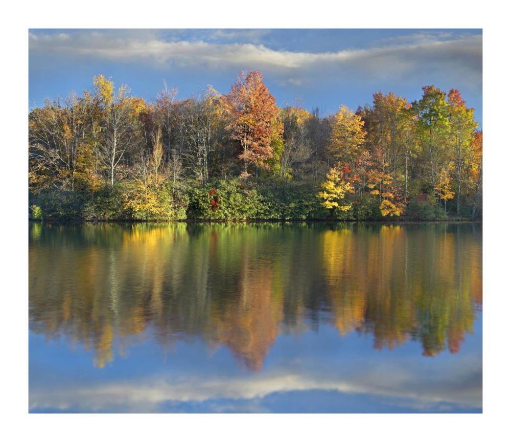 Deciduous Forest In Autumn Along Price Lake, Blue Ridge Parkway, North Carolina-Paper Art-18X15.6