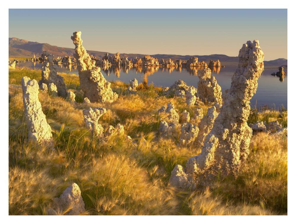 Wind And Rain Eroded Tufa Towers Amid Squirreltail Barley Mono Lake, California-Paper Art-18X14