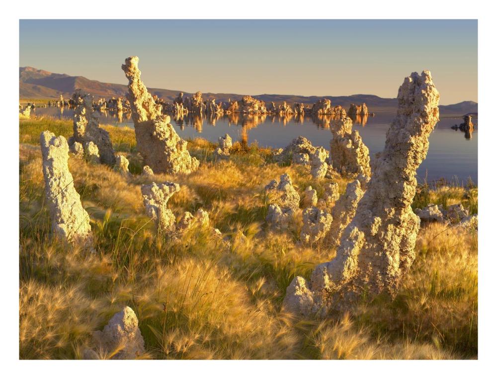 Wind And Rain Eroded Tufa Towers Amid Squirreltail Barley Mono Lake, California-Paper Art-26X20