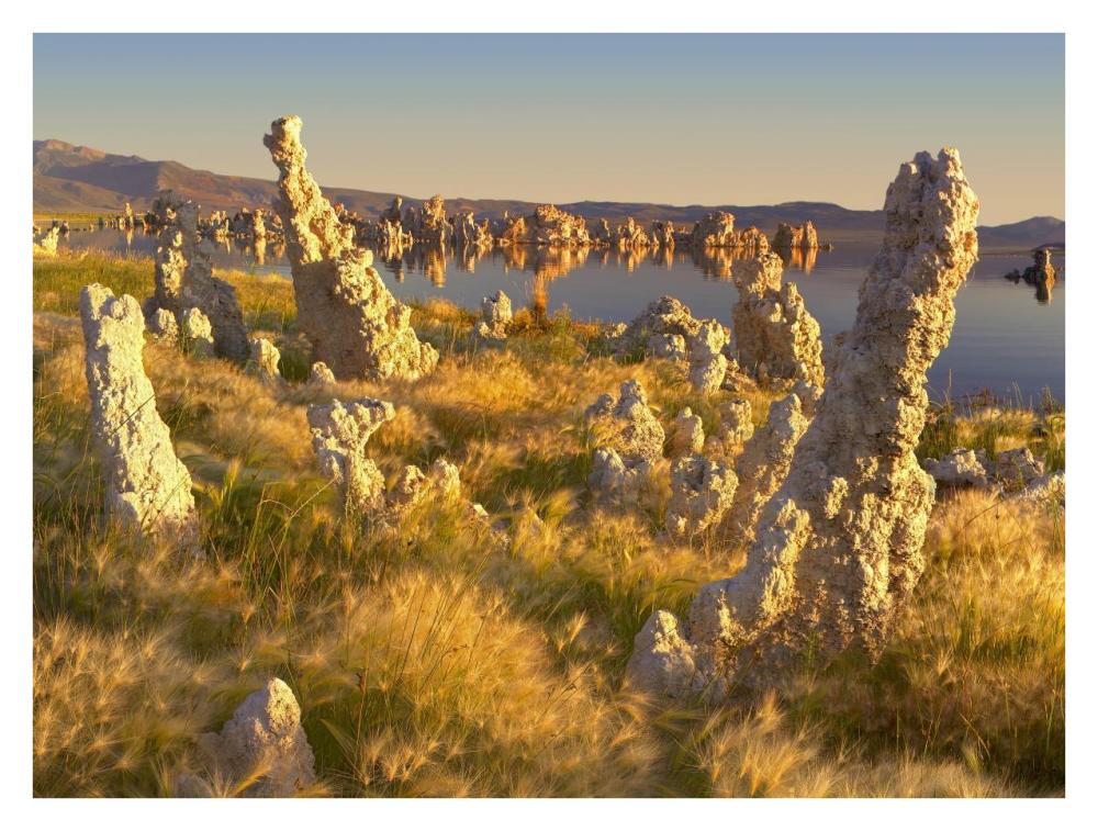 Wind And Rain Eroded Tufa Towers Amid Squirreltail Barley Mono Lake, California-Paper Art-34X26